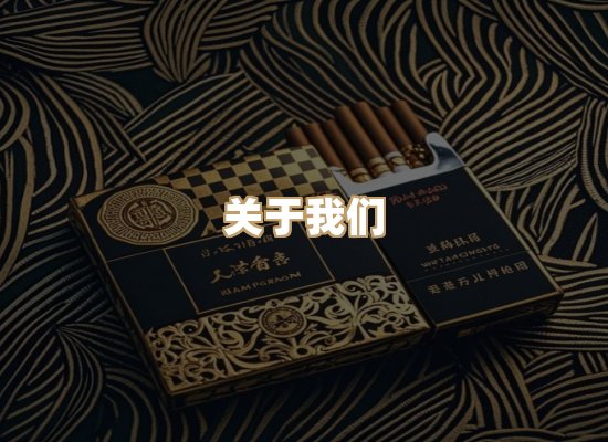 关于云歌烟网